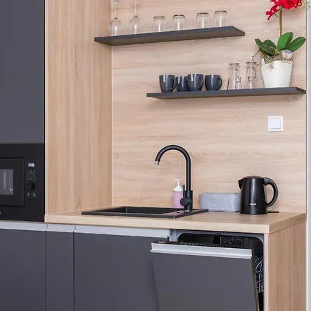 Modern With Air Conditioning In Downtown By Renters Appartement