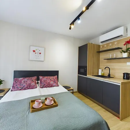 Apartment Modern With Air Conditioning In Downtown By Renters *