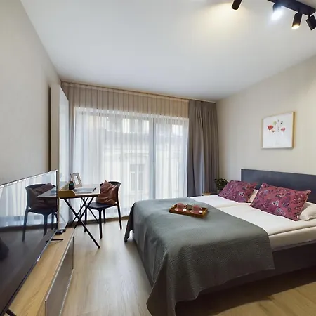 Modern With Air Conditioning In Downtown By Renters Krakau