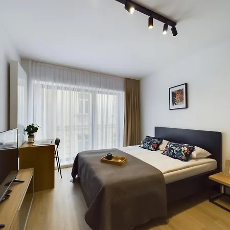 公寓 Modern With Air Conditioning In Downtown By Renters *