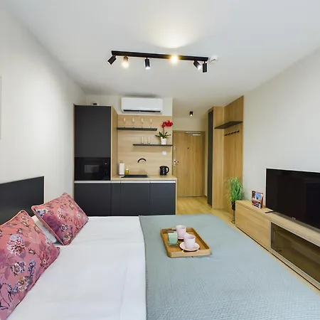 Modern With Air Conditioning In Downtown By Renters